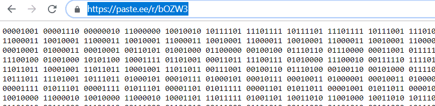 encrypted Assembly executable